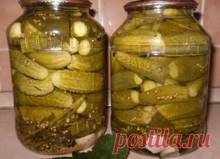 Маринованные огурцы рецепт на зиму хрустящие на 3 литровую банку