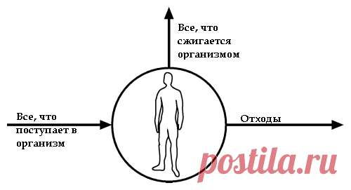 Концепция воздушного шарика — новый способ похудеть
