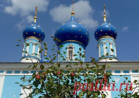 Интересные новости