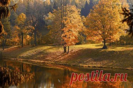 Красоты России. - 22 фото. Фотографии veronika erokhina.