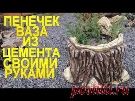 Вазончик пенек — Садоводка