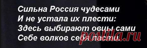 Хлесткая поэзия Игоря Губермана
