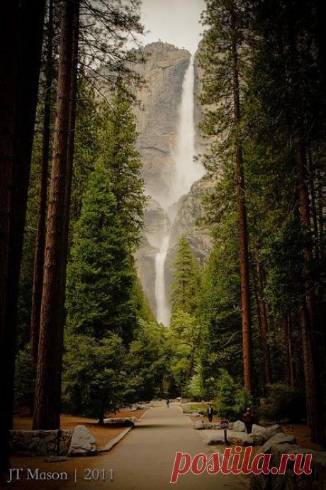 Найдено на сайте flickr.com.