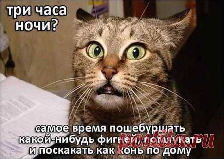 Интересные новости