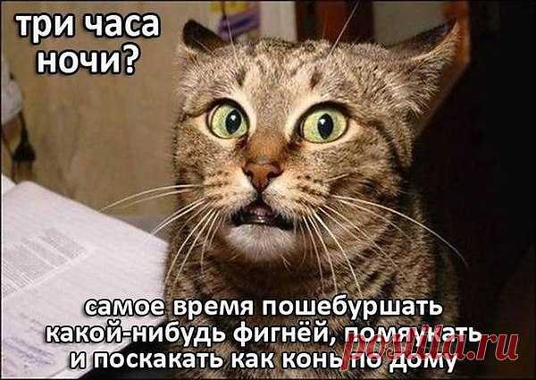 Интересные новости