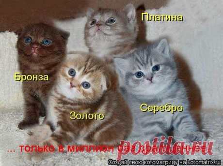 Интересные новости
