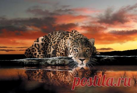ФРЕСКИ ФОТО ОБОИ