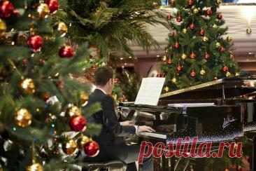 Волшебство на борту лайнеров MSC на Новый год и Рождество!