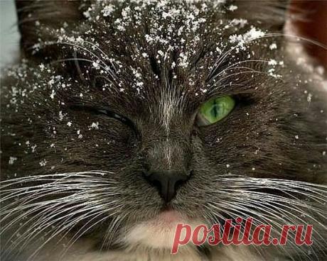 ((((Положительное Настроение))))
Петр Рубашкин