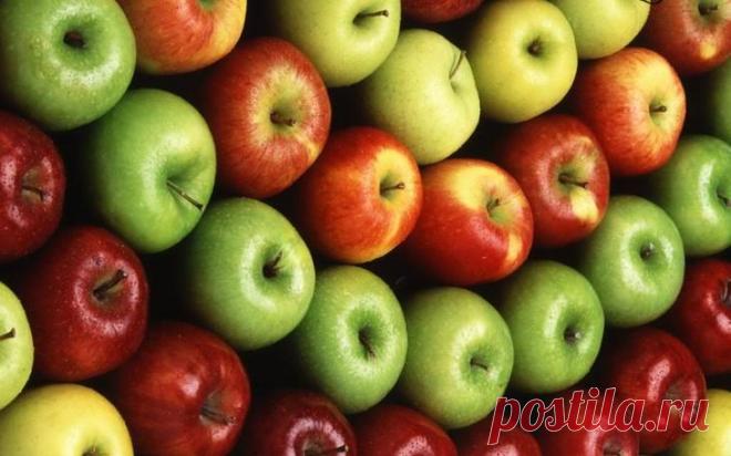 Разбираемся в сортах яблок: зимние, летние и осенние