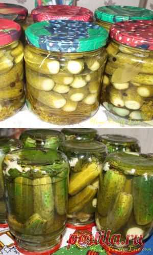 Маринованные огурцы - Кулинарные рецепты