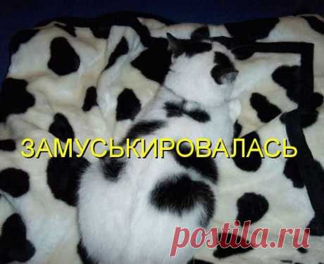 чудеса маскировки