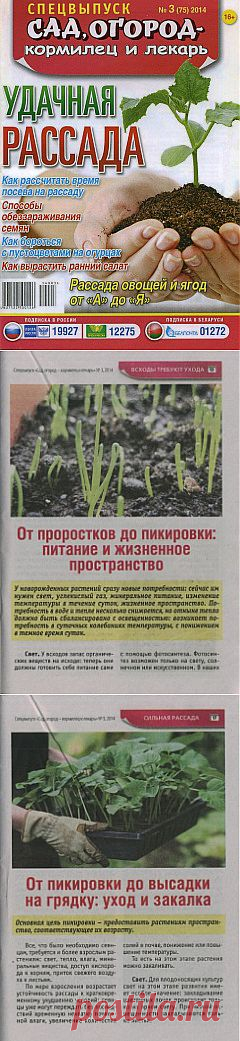 Спецвыпуск Сад, огород - кормилец и лекарь № 3 2014.