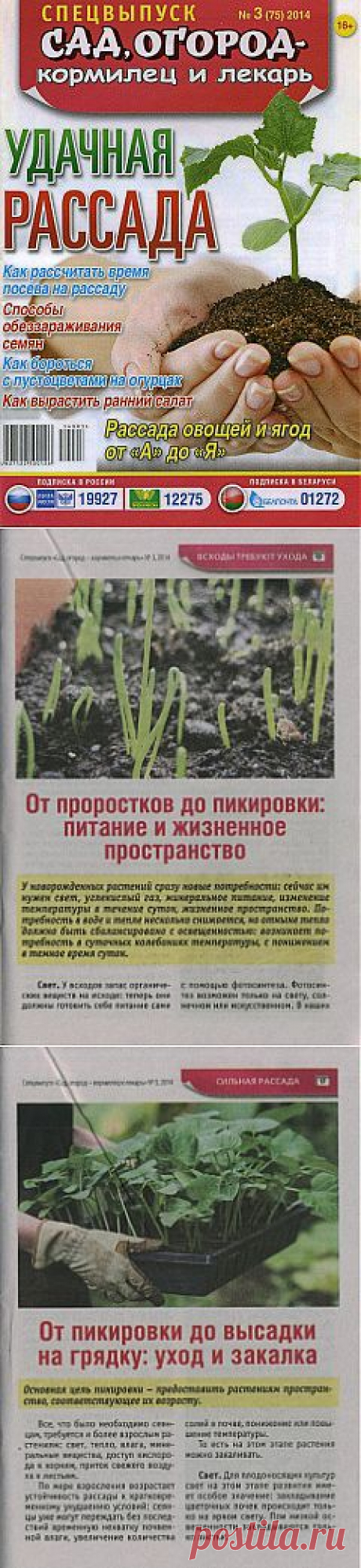 Спецвыпуск Сад, огород - кормилец и лекарь № 3 2014.