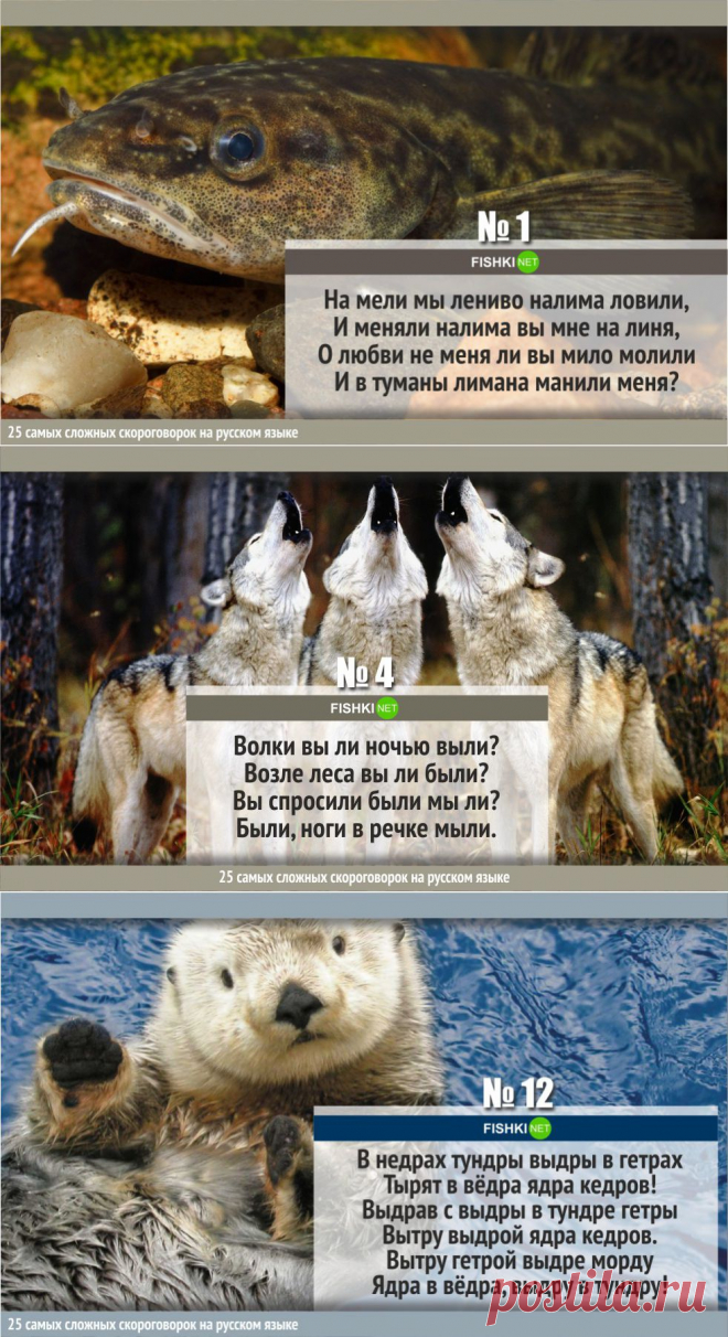 25 САМЫХ СЛОЖНЫХ СКОРОГОВОРОК НА РУССКОМ ЯЗЫКЕ