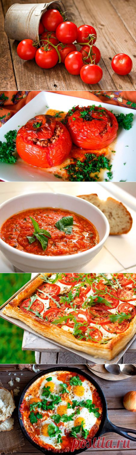 5 лучших блюд из помидоров — Вкусные рецепты