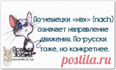 Смешные картинки, мемы и лучшие шутки Рунета.-Новости Дня