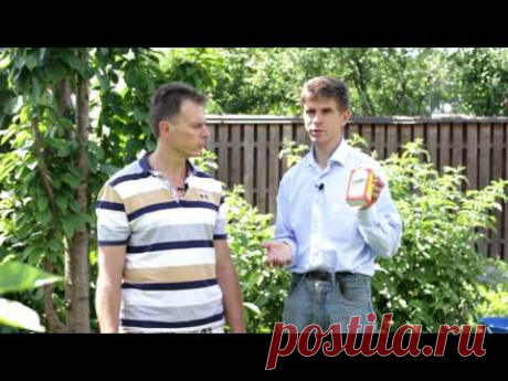 НЕВЕРОЯТНО, НО СОДА - СУПЕР СРЕДСТВО ДЛЯ САДА И ОГОРОДА!!