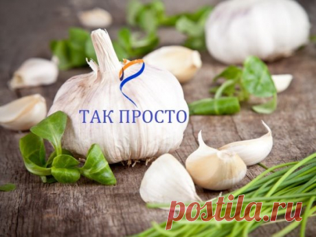 СОВЕТ 1: ПОЧТИ ПАНАЦЕЯ... Трудно поверить, но можно проверить.
У меня есть редкий рецепт, которым я хочу поделиться с вами. Этот рецепт от многих болезней. А пришёл он ко мне совершенно случайно.
Были мы с подругой на выставке косметики. Целый день ходили. Всё очень интересно. Но устали и решили попить чайку с бутербродами. Подруга достала термос. Сидим, пьём. Рядом присела женщина. Подруга предложила ей чаю. Женщина не отказалась. Завязалась беседа. Женщина нам говорит: "Девочки, вы такие мол