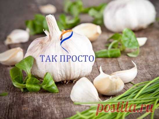 СОВЕТ 1: ПОЧТИ ПАНАЦЕЯ... Трудно поверить, но можно проверить.
У меня есть редкий рецепт, которым я хочу поделиться с вами. Этот рецепт от многих болезней. А пришёл он ко мне совершенно случайно.
Были мы с подругой на выставке косметики. Целый день ходили. Всё очень интересно. Но устали и решили попить чайку с бутербродами. Подруга достала термос. Сидим, пьём. Рядом присела женщина. Подруга предложила ей чаю. Женщина не отказалась. Завязалась беседа. Женщина нам говорит: 