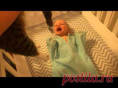 Baby Loves Cat - YouTube