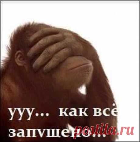 (2) Юмор каждый день