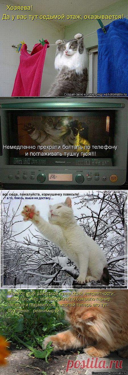 (+1) тема - Все. Нафиг политику. Отвлекитесь))) | ОБОРЖАКА ;)