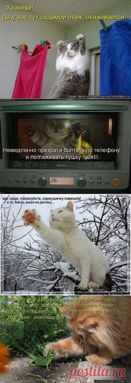 (+1) тема - Все. Нафиг политику. Отвлекитесь))) | ОБОРЖАКА ;)