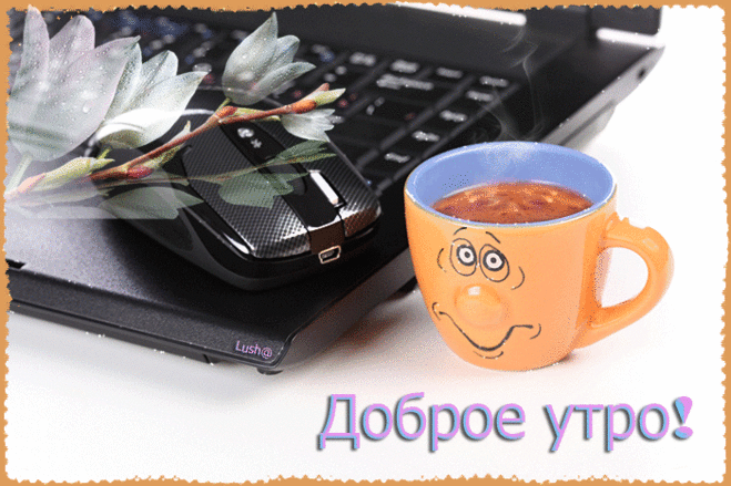 362383738110831.gif (700×466)