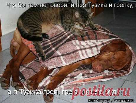 улыбнитесь!