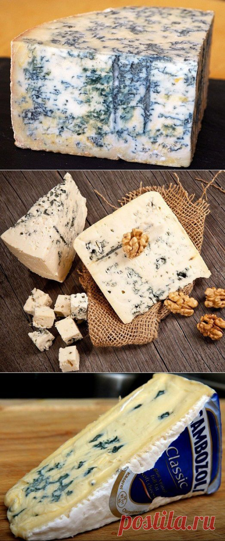 ЧТО ТАКОЕ СЫР С ПЛЕСЕНЬЮ? КАК ПРИГОТОВИТЬ ДОМА? — Вкусные рецепты