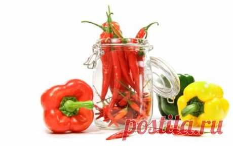 Запасаемся острым перчиком: засолка, маринование и другие способы заготовки / Простые рецепты