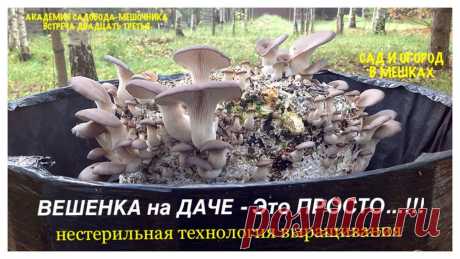 ВЕШЕНКА на ДАЧЕ - Это ПРОСТО...!!! НЕСТЕРИЛЬНАЯ технология выращивания. ВИДЕО-ИНСТРУКЦИЯ От и До.