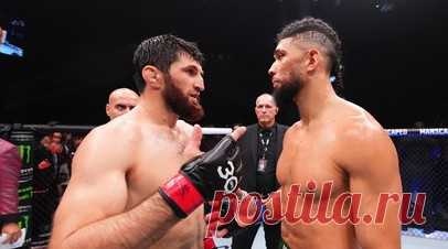 Анкалаев нокаутировал Уокера на турнире UFC в Лас-Вегасе. Российский боец полутяжёлого веса Магомед Анкалаев одержал досрочную победу над Джонни Уокером в главном поединке турнира UFC Fight Night 234, который завершился в Лас-Вегасе. Читать далее