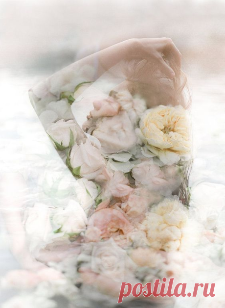 i (563×769)