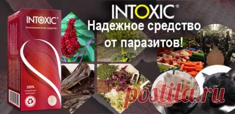 5 РЕЦЕПТОВ ТВОРОГА, КОТОРЫЕ ПРОСТО НЕОБХОДИМО ПОПРОБОВАТЬ!
