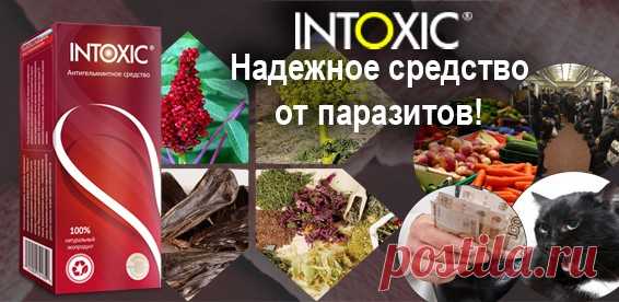 5 РЕЦЕПТОВ ТВОРОГА, КОТОРЫЕ ПРОСТО НЕОБХОДИМО ПОПРОБОВАТЬ!