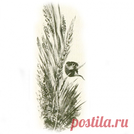 КЛАДОВАЯ