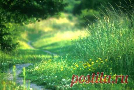 10 заповедей огородника от Катерины Дельво