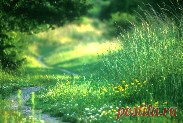 10 заповедей огородника от Катерины Дельво