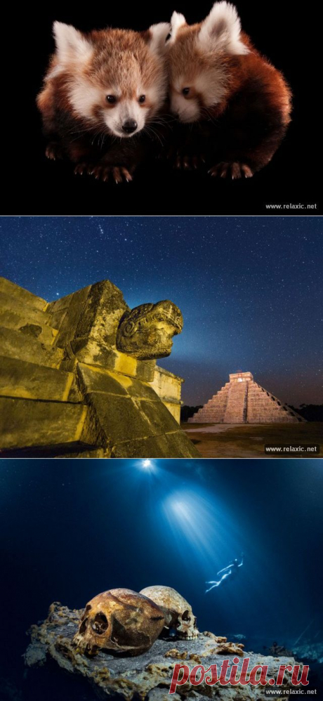 30 лучших фото октября-2013 от канала National Geographic | Релаксик