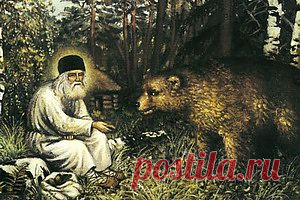 TB БАЛАНС. Построй разум, посади мудрость и роди вечную любовь!