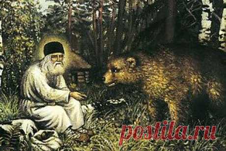 TB БАЛАНС. Построй разум, посади мудрость и роди вечную любовь!