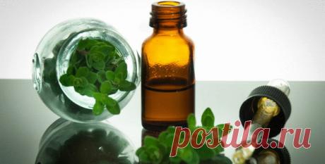 От паразитарных болезней страдает бо́льшая часть населения мира. В борьбе с паразитами вашему организму помогут распространённые природные лекарства.