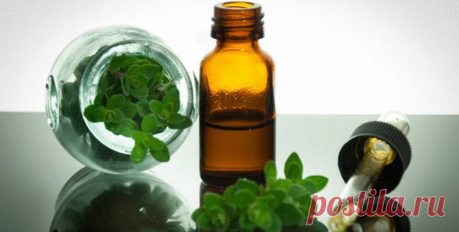 От паразитарных болезней страдает бо́льшая часть населения мира. В борьбе с паразитами вашему организму помогут распространённые природные лекарства.