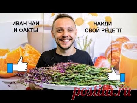 Иван чай (копорский чай) ИНТЕРЕСНЫЕ факты польза и вред
