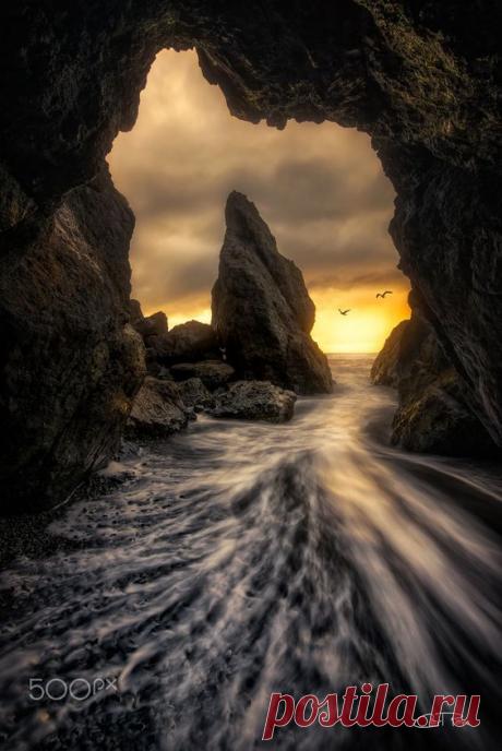 Nature, Transport, Oregon, U.S.A.