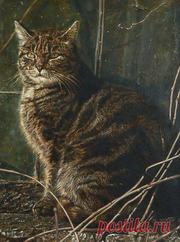 Бернард Сафран (Bernard Safran, 1924-1995) — американский художник.
"Дикий кот" (Wild Cat), 1966 г.