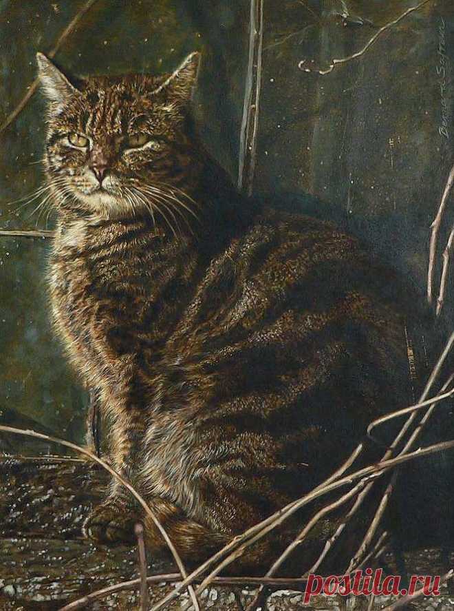 Бернард Сафран (Bernard Safran, 1924-1995) — американский художник.
