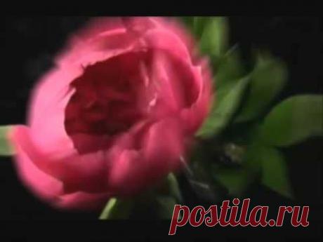 АЛБАНСКОЕ ТАНГО.Дворовая песня 60х.ав